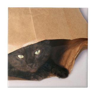 Azulejo De Cerámica Gato negro en bolso