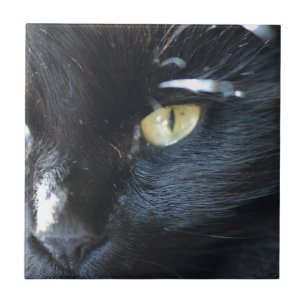 Azulejo De Cerámica Gato que le observa