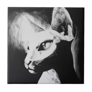 Azulejo De Cerámica Gato Sphynx Contraste Blanco Negro Arte de Retrato