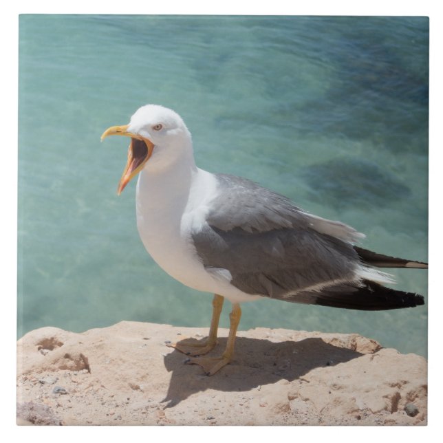 Azulejo De Cerámica Gaviota (Frente)