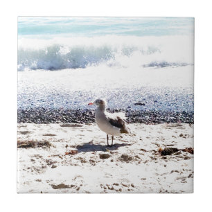 Azulejo De Cerámica gaviota junto al océano en la playa imagen