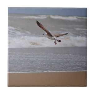 Azulejo De Cerámica Gaviota volando sobre la playa hacia el océano