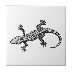 Azulejo De Cerámica Gecko