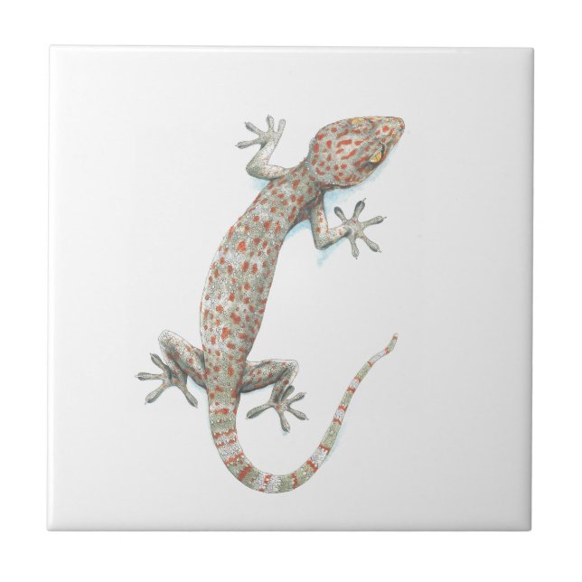 Azulejo De Cerámica gecko (Frente)