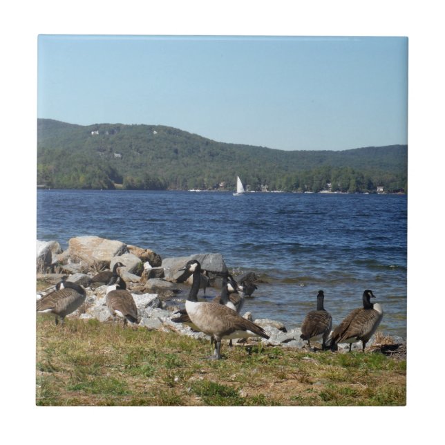 Azulejo De Cerámica Geese y lago con velero (Frente)