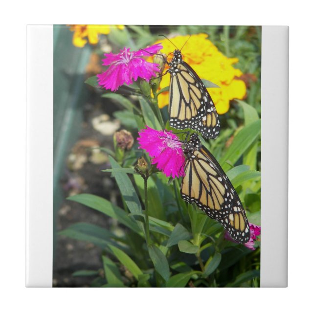 Azulejo De Cerámica Gemelos monarcas #2tiras (Frente)