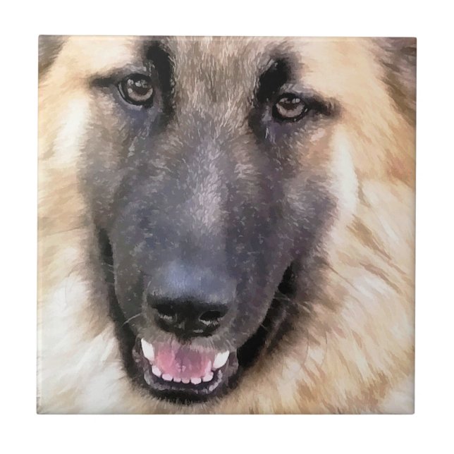 AZULEJO DE CERÁMICA GERMAN SHEPHERD (Frente)