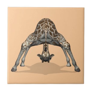 Azulejo De Cerámica Girafa flexible