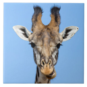 Azulejo De Cerámica Giraffe