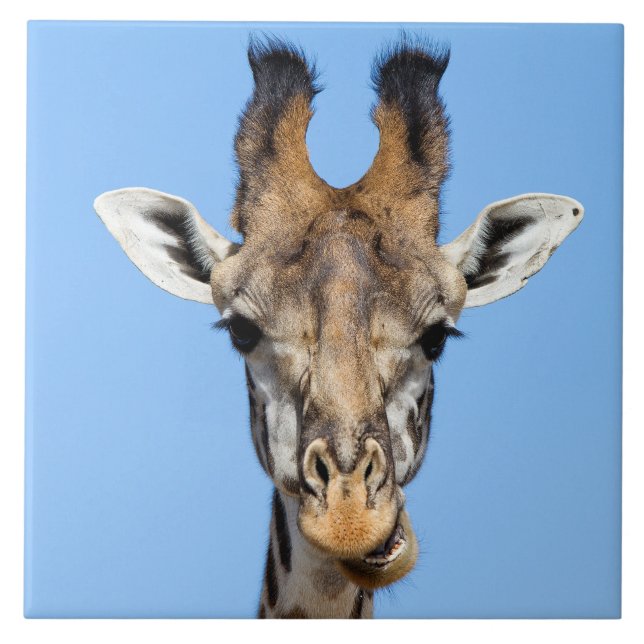Azulejo De Cerámica Giraffe (Frente)