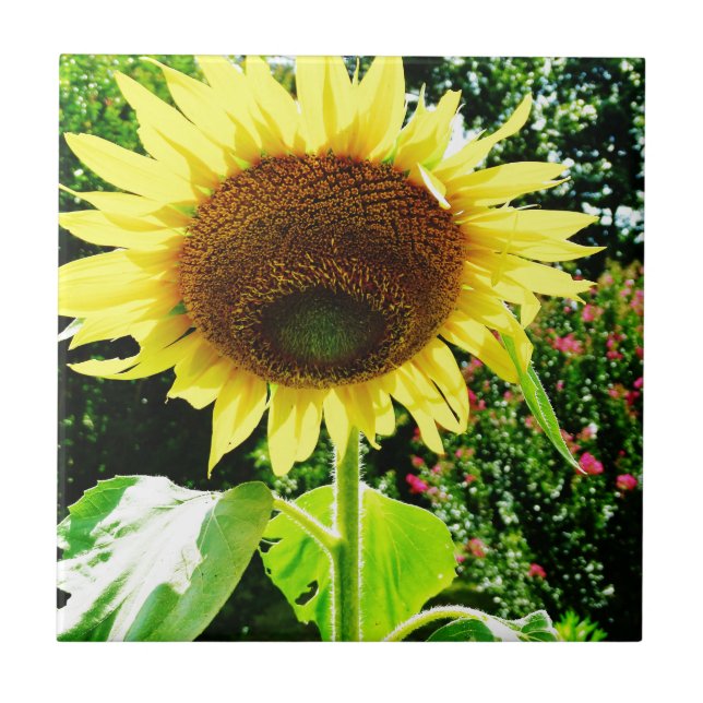 Azulejo De Cerámica Girasol amarillo grande (Frente)