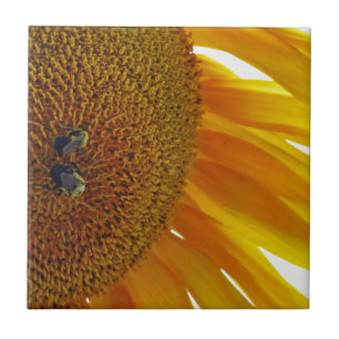 Azulejo De Cerámica Girasol con abejorros
