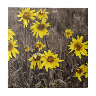 Azulejo De Cerámica Girasol en la montaña rocosa