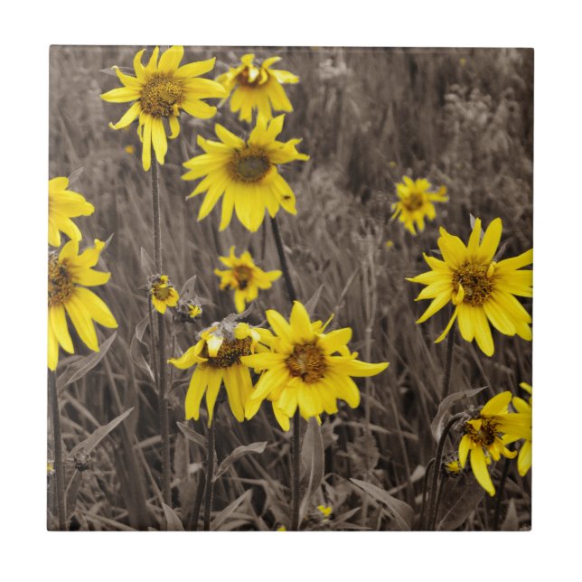 Azulejo De Cerámica Girasol en la Montaña Rocosa (Frente)