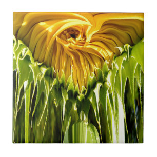 Azulejo De Cerámica Girasol retro funky abstracto, geometría asustada 