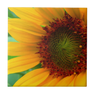 AZULEJO DE CERÁMICA GIRASOL VIVO II