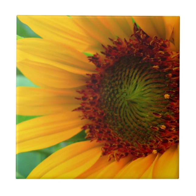 AZULEJO DE CERÁMICA GIRASOL VIVO II (Frente)