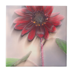 Azulejo De Cerámica Giro híbrido soplando en el viento