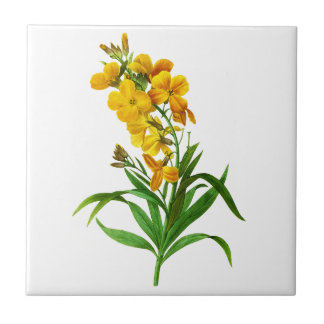Azulejo De Cerámica Giroflee Jaune por Pierre Joseph Redoute