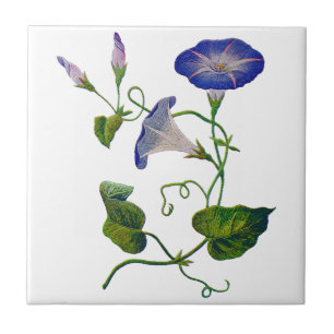 Azulejo De Cerámica Glorias mortales azules bordadas
