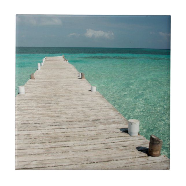 Azulejo De Cerámica Goff Caye, una popular isla de barrera de arrecife (Frente)