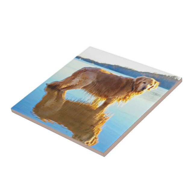 Azulejo De Cerámica Golden retriever (Lado)
