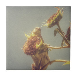 Azulejo De Cerámica Goldfinch