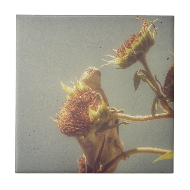 Azulejo De Cerámica Goldfinch (Frente)