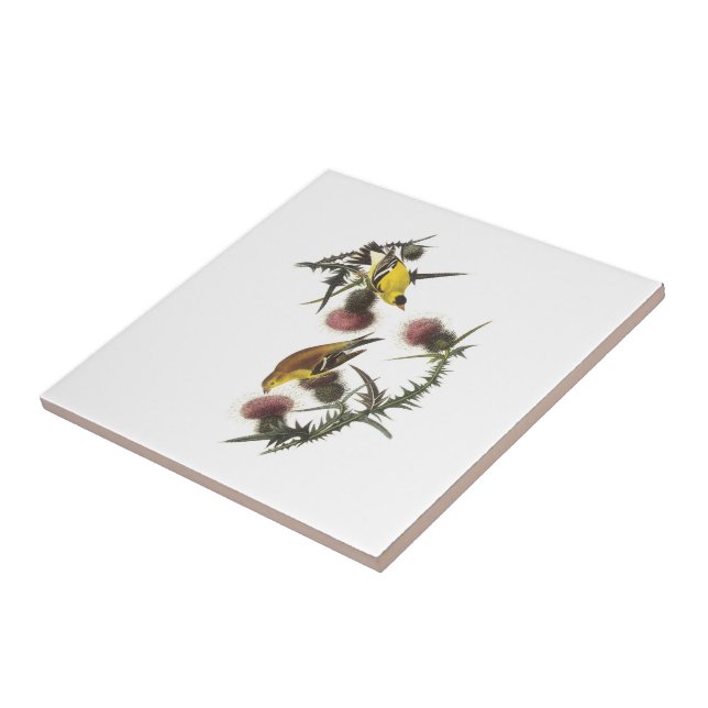 Azulejo De Cerámica Goldfinch americano por Audubon (Lado)