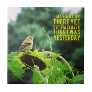 Azulejo De Cerámica Goldfinch Más Cerca De Lo Que Estuve Ayer En Posit