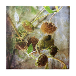 Azulejo De Cerámica Goldfinch y Sunflowers