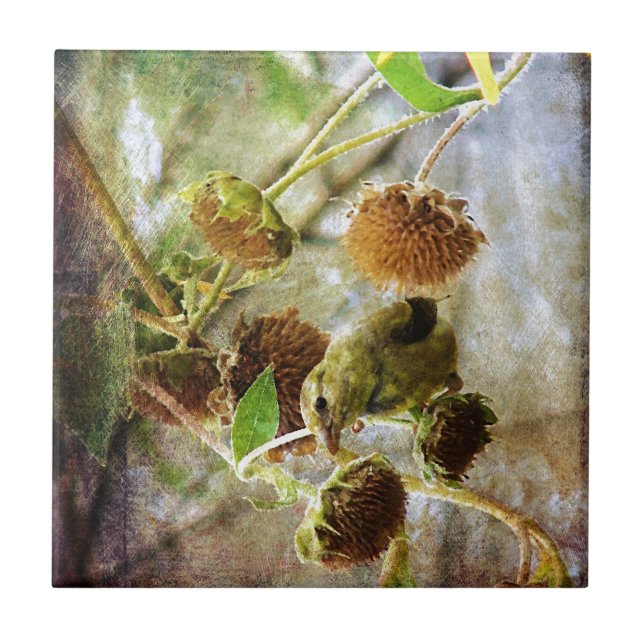 Azulejo De Cerámica Goldfinch y Sunflowers (Frente)