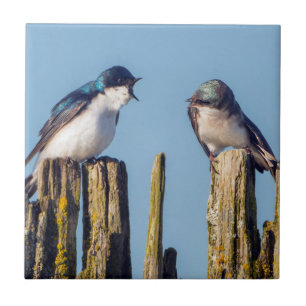 Azulejo De Cerámica Golondrina bicolor macho y hembra