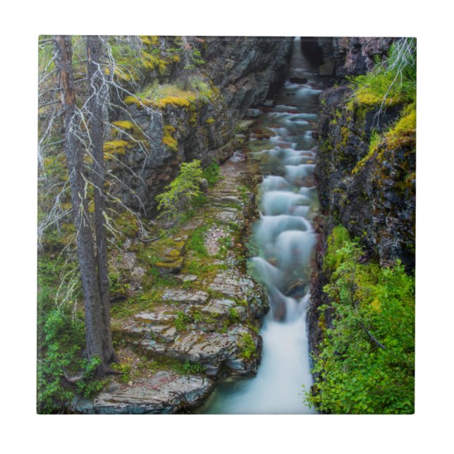 Azulejo De Cerámica Gorge De Sunrift En El Parque Nacional Glacier, Mo (Frente)