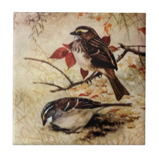 Azulejo De Cerámica Gorriones y hojas Blanco-Throated de la caída