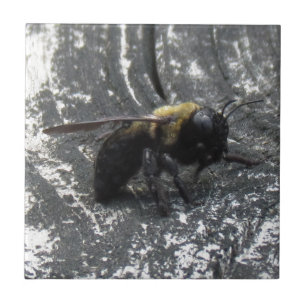 Azulejo De Cerámica Gotas de agua