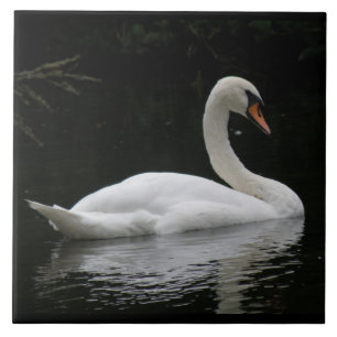 Azulejo De Cerámica Graceus White Swan Tile