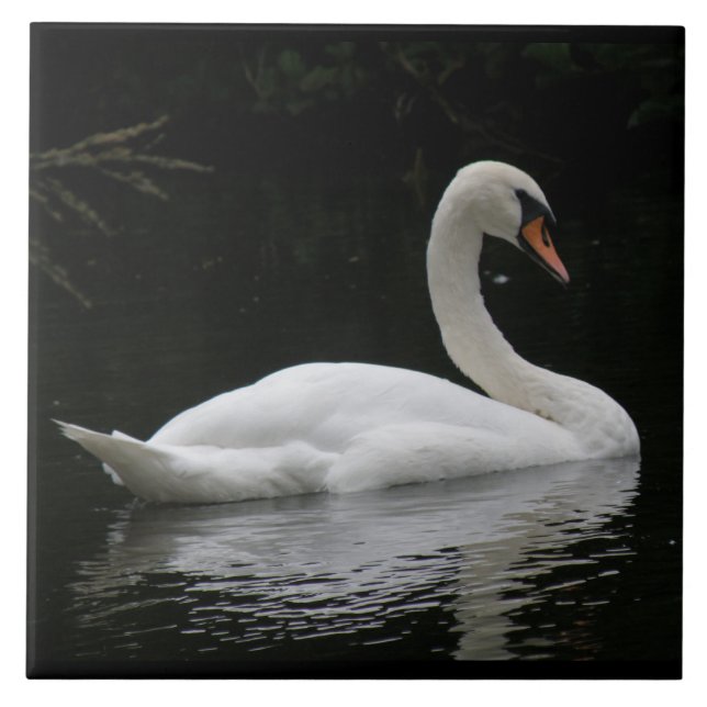 Azulejo De Cerámica Graceus White Swan Tile (Frente)
