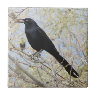 Azulejo De Cerámica Grackle Grande-atado
