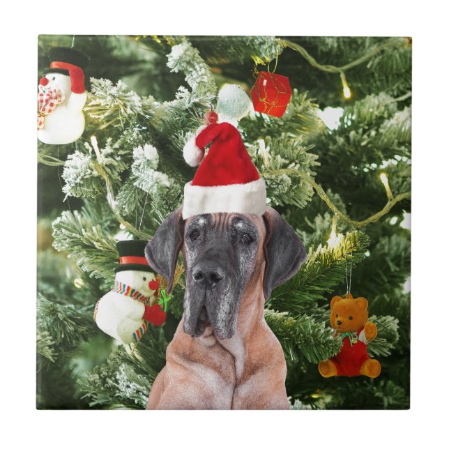 Azulejo De Cerámica Gran dane con árbol de Navidad Cajas de regalo San (Frente)