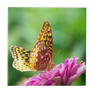 Azulejo De Cerámica Gran Fritillary Spangled