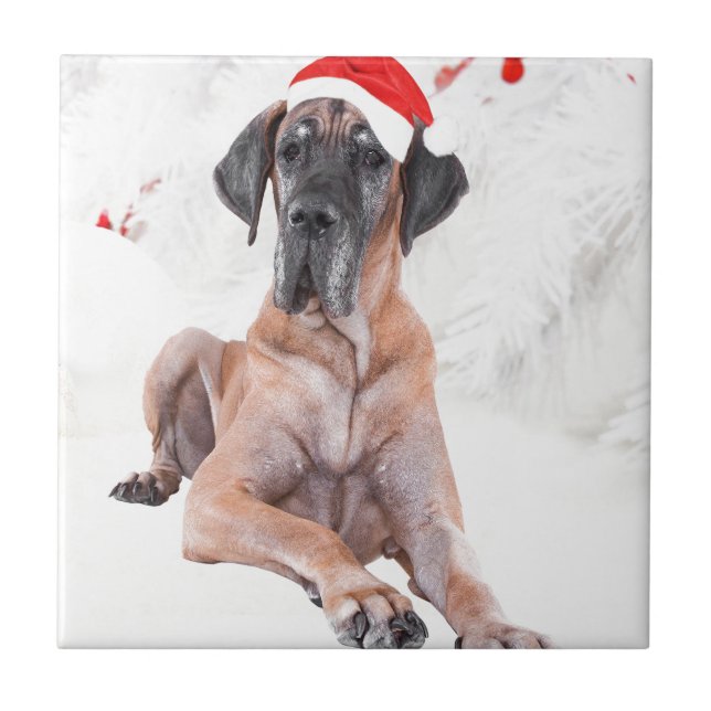 Azulejo De Cerámica Gran Gorra de perro danés Feliz Navidad (Frente)
