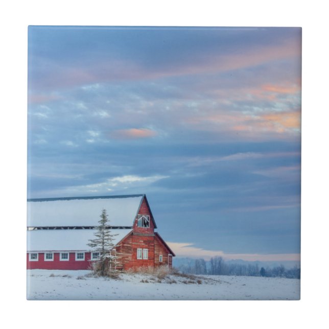 Azulejo De Cerámica Granero rojo de madera viejo en el valle más bajo (Frente)