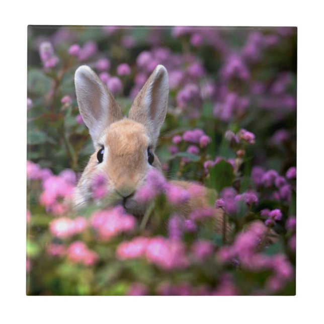 Azulejo De Cerámica Granja de conejos (Frente)