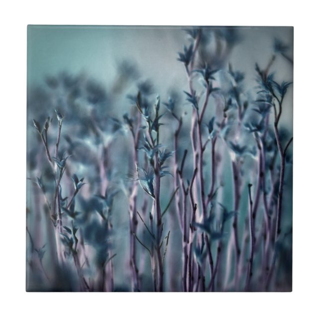 Azulejo De Cerámica Grasa azul (Frente)