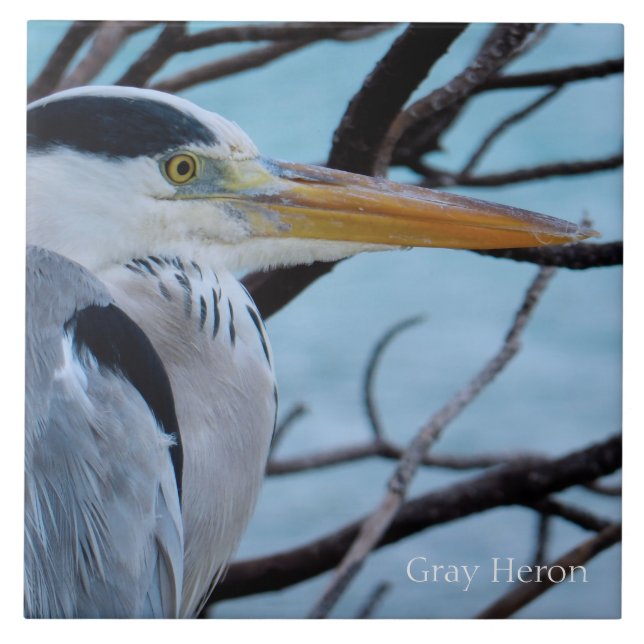 Azulejo De Cerámica Gray Heron (Frente)
