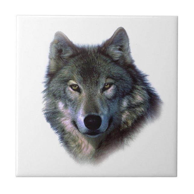 Azulejo De Cerámica Gray Wolf Eyes (Frente)