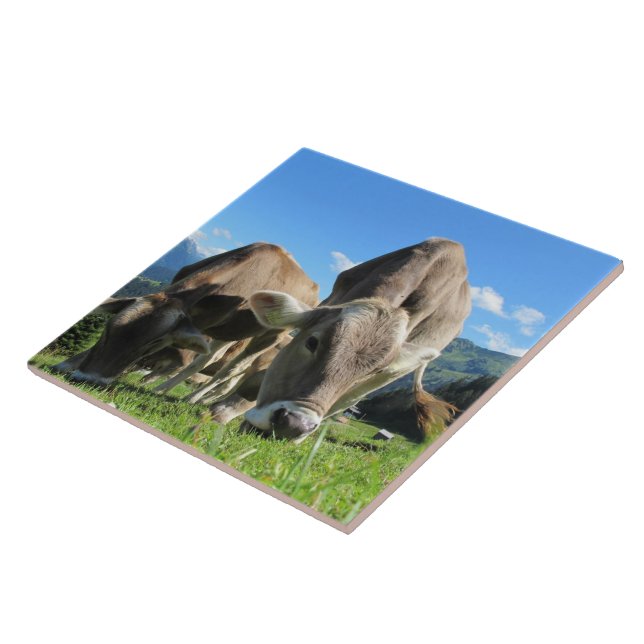 Azulejo De Cerámica Grazing Cow Tile (Lado)