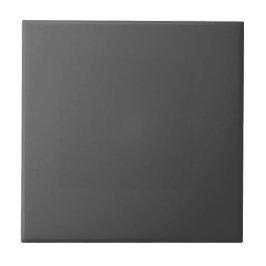 Azulejo de Cerámica Gris Elegante Atemporal