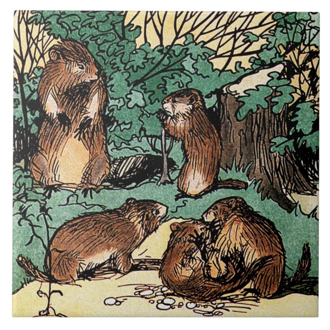 Azulejo De Cerámica Groundhog - Familia Marmot (Frente)
